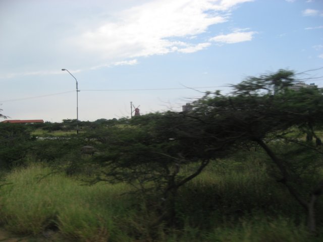img_1089.jpg