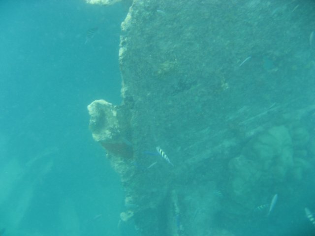 img_1119.jpg
