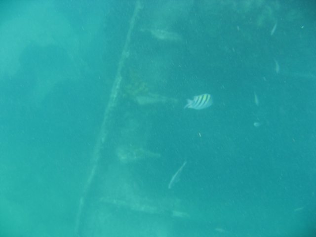 img_1122.jpg