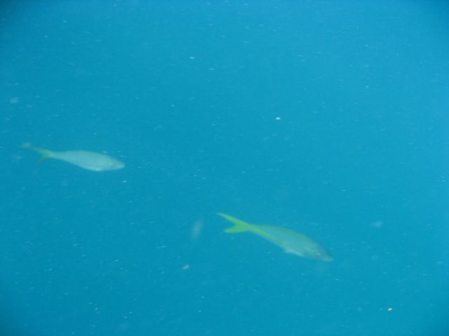 img_1125.jpg