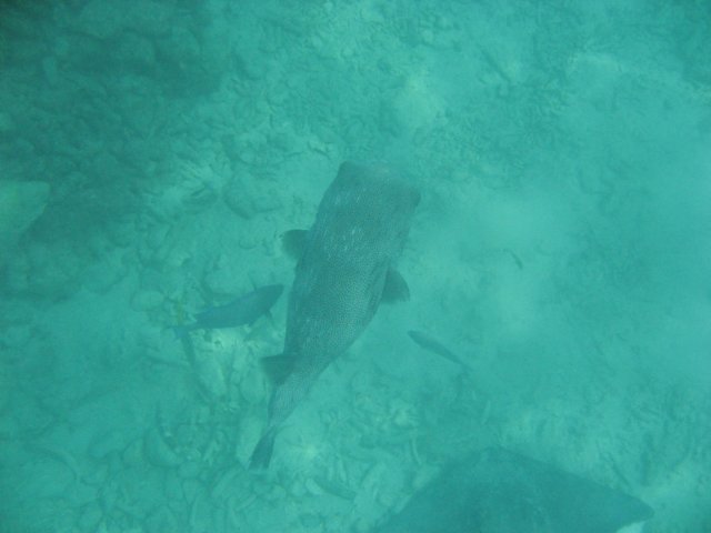 img_3090.jpg