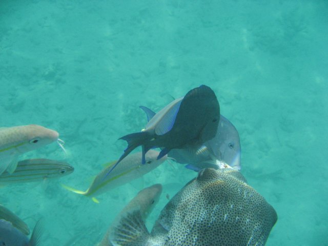 img_3093.jpg