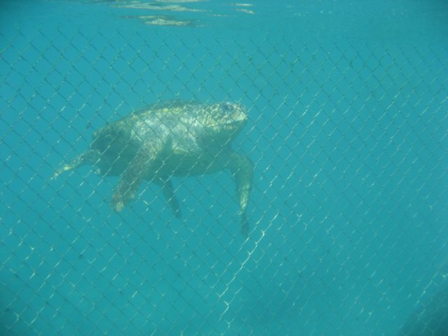 img_3100.jpg
