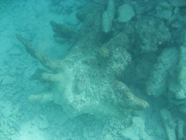 img_3107.jpg