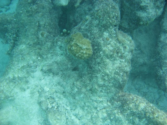 img_3108.jpg