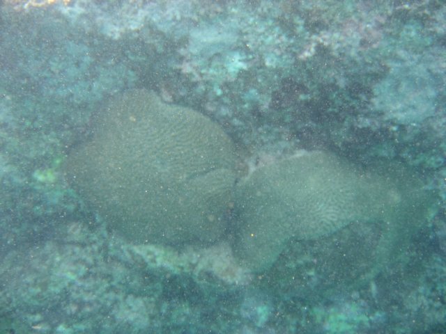 img_3109.jpg