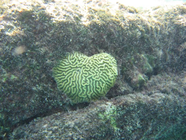 img_3111.jpg