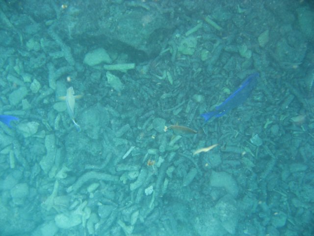 img_3113.jpg