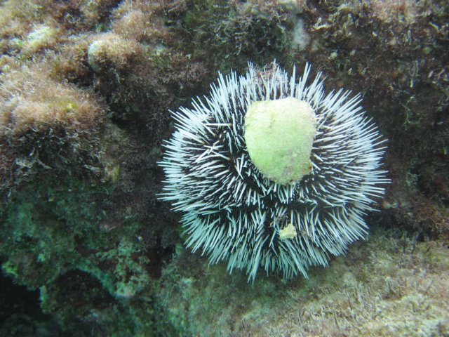 img_3129.jpg