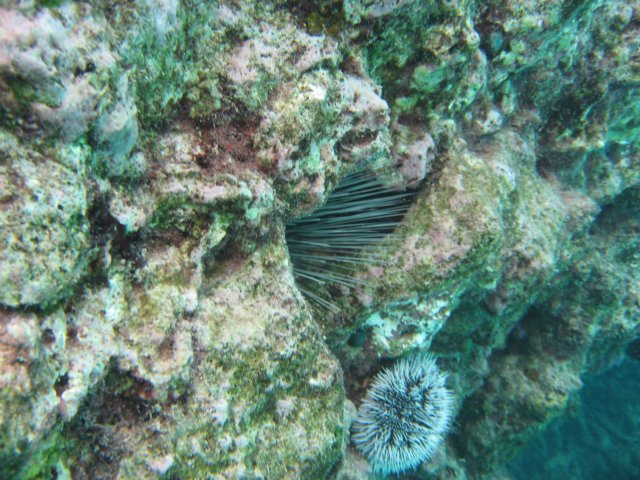 img_3135.jpg