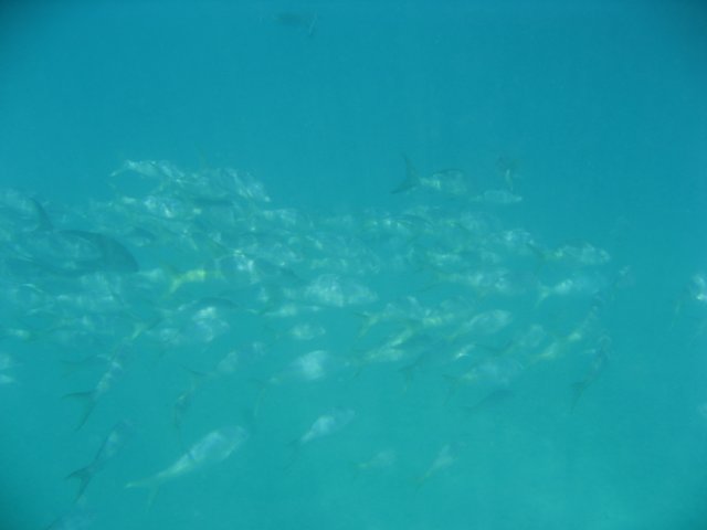 img_3138.jpg