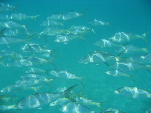 img_3140.jpg