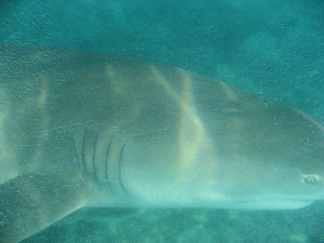 img_3150.jpg