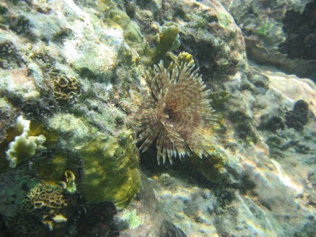 img_3163.jpg