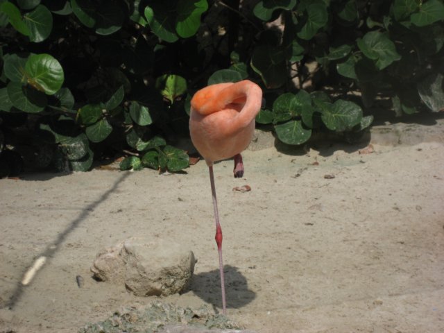 img_3166.jpg