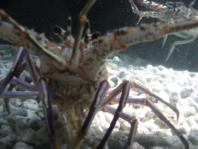 img_3173.jpg