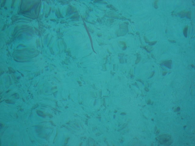 img_3208.jpg
