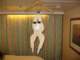 img_3245_small.jpg