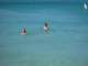 img_3344_small.jpg