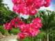 img_3380_small.jpg
