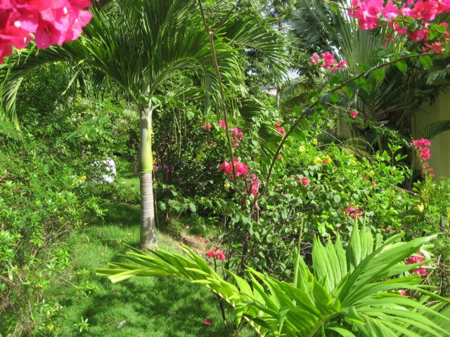 img_3384.jpg