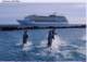 adventuredolphins_small.jpg